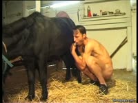 Skinny gay giving a horse handjob